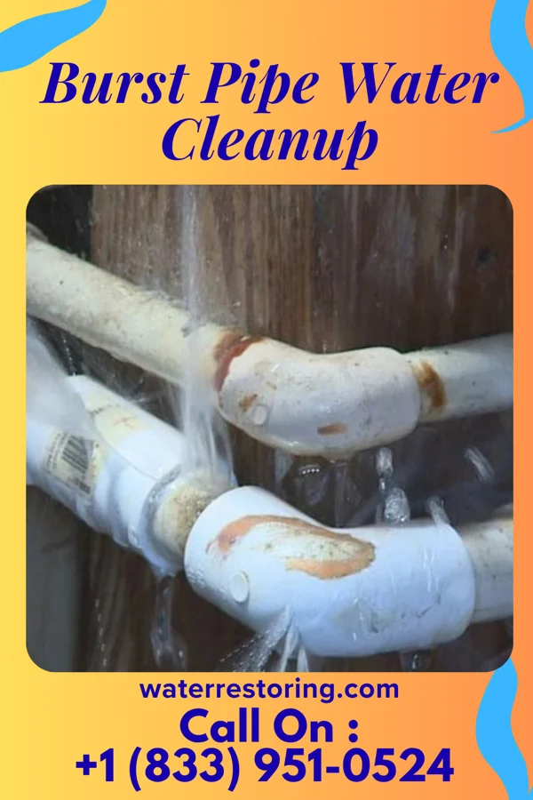 Burst Pipe Water Cleanup in Galesburg, KS